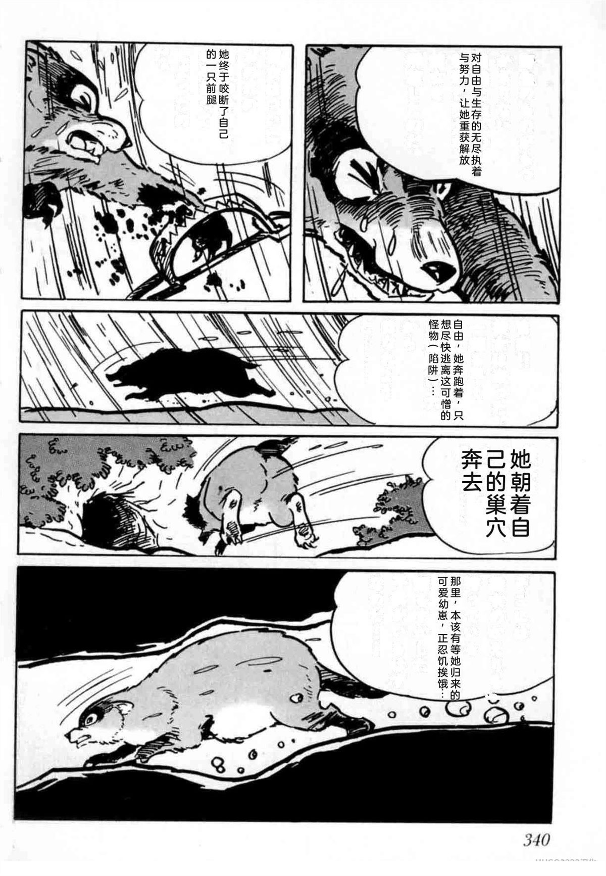 第4卷 机翻331