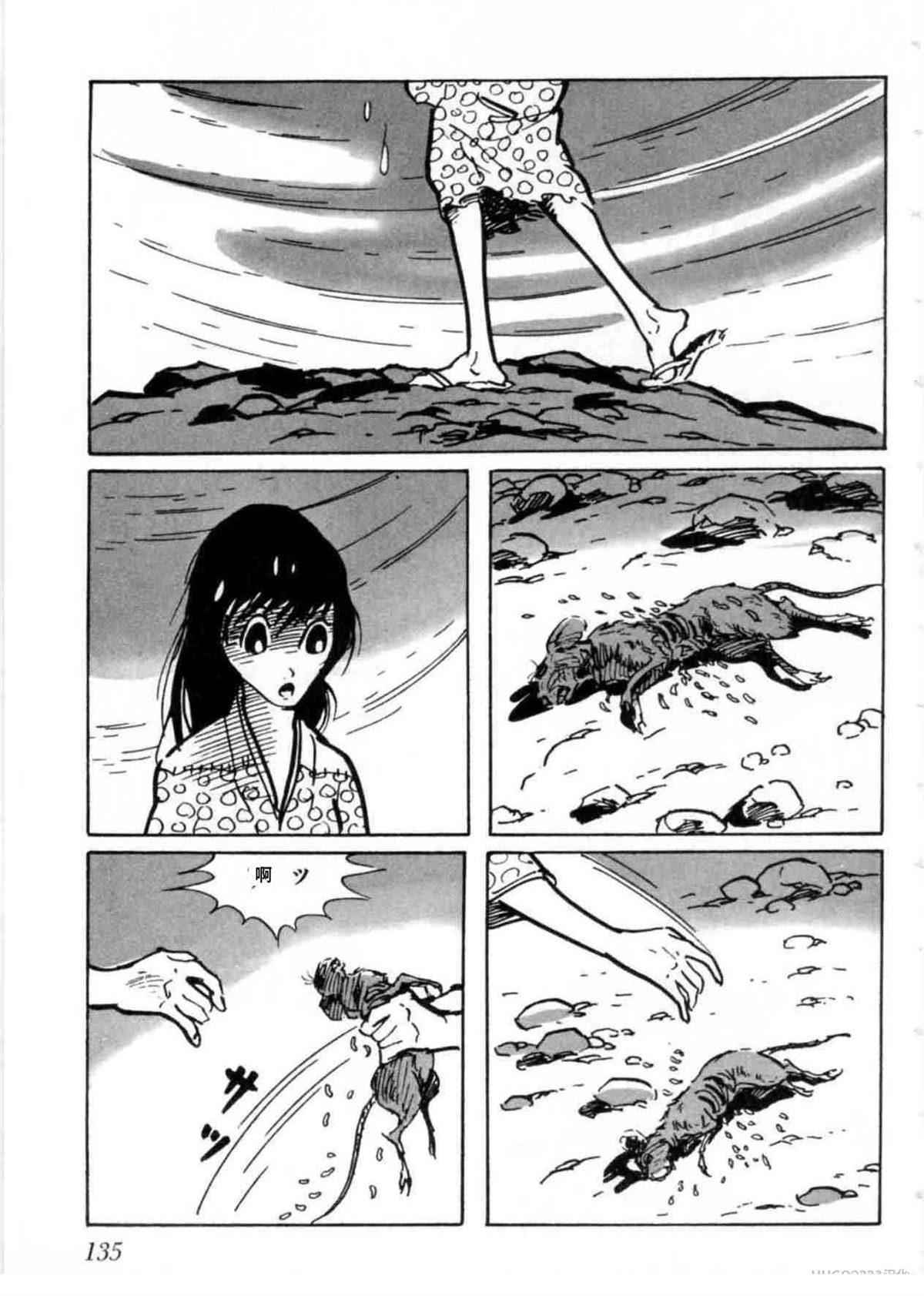 第5卷 机翻135