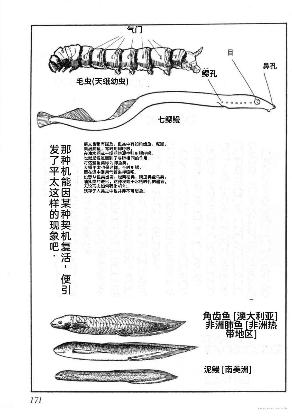第5卷 机翻171