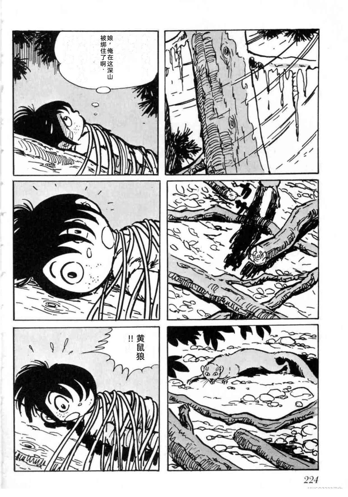 第5卷 机翻224