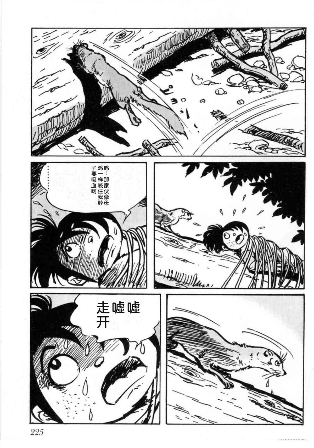 第5卷 机翻225