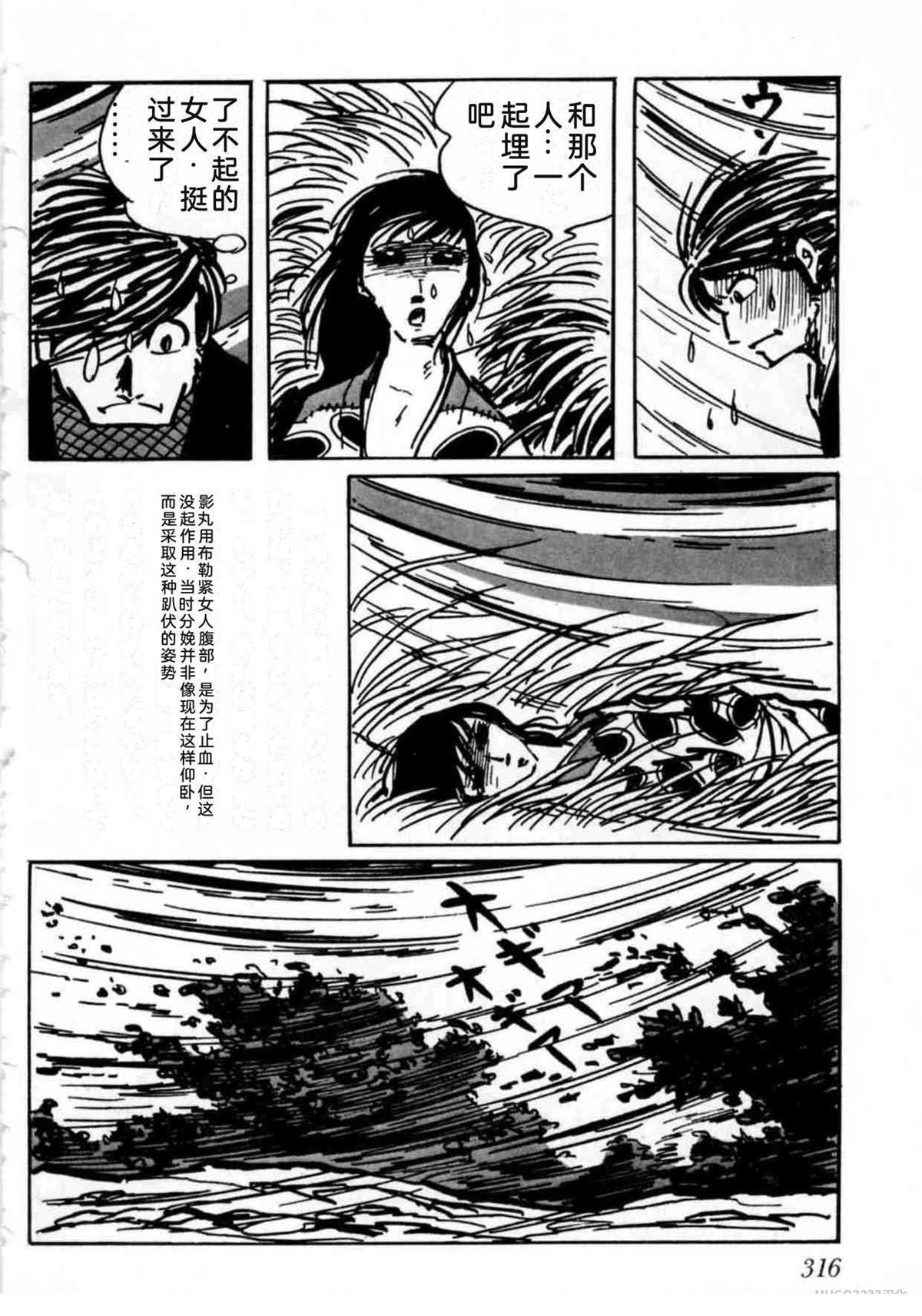 第5卷 机翻316