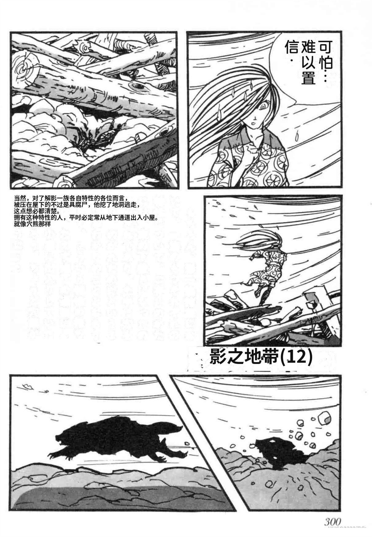 第7卷 机翻299