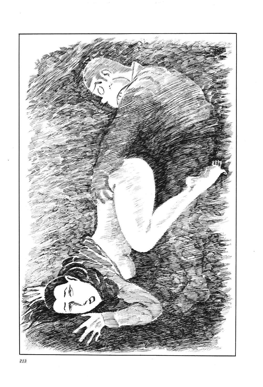 第4卷217