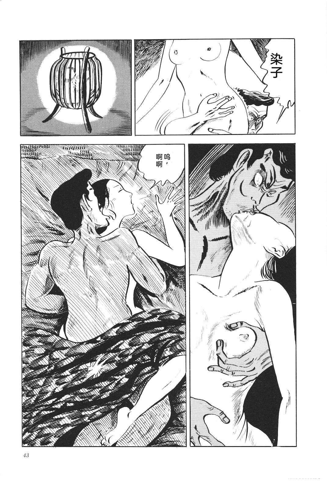 第5卷47