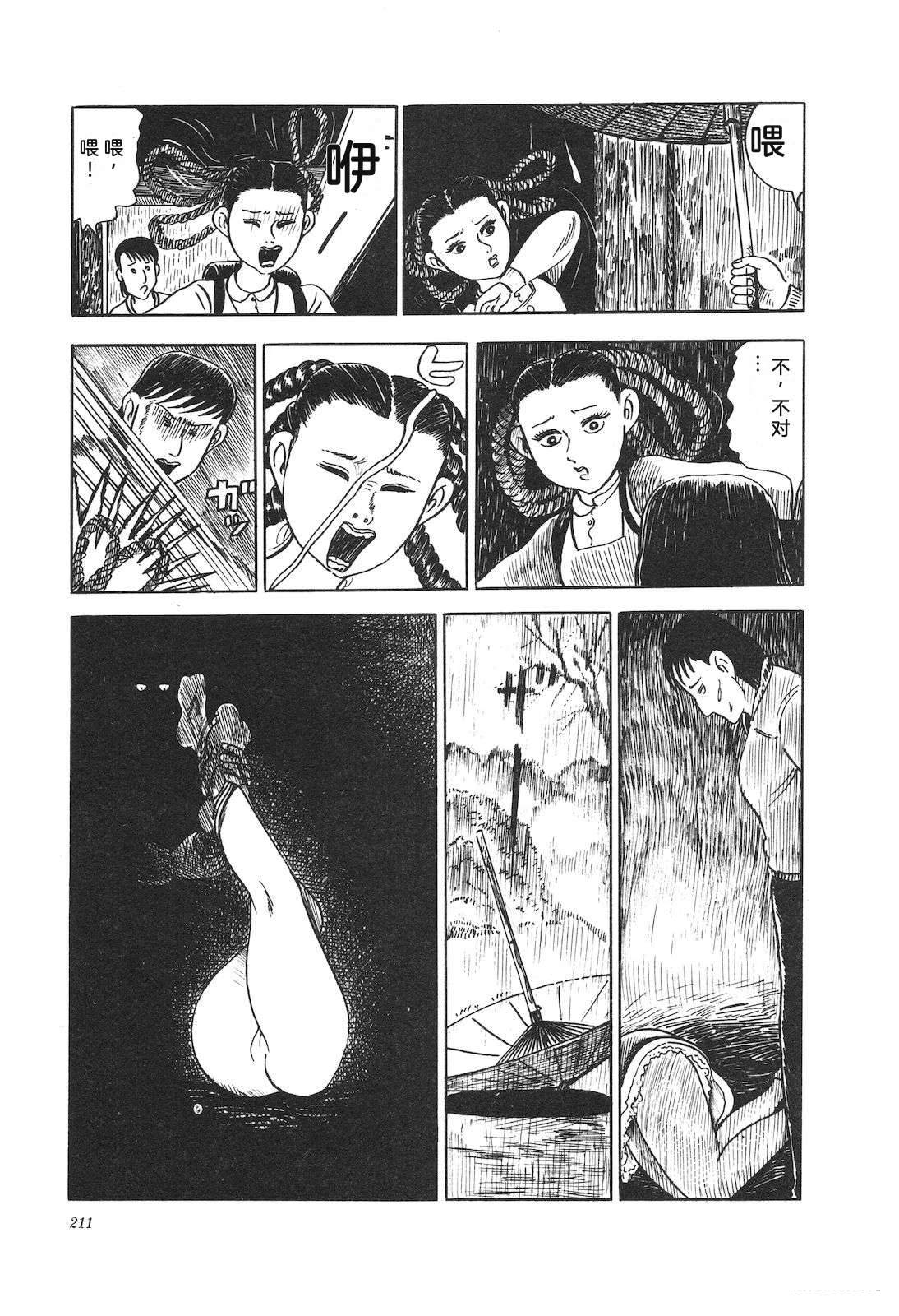 第13卷215