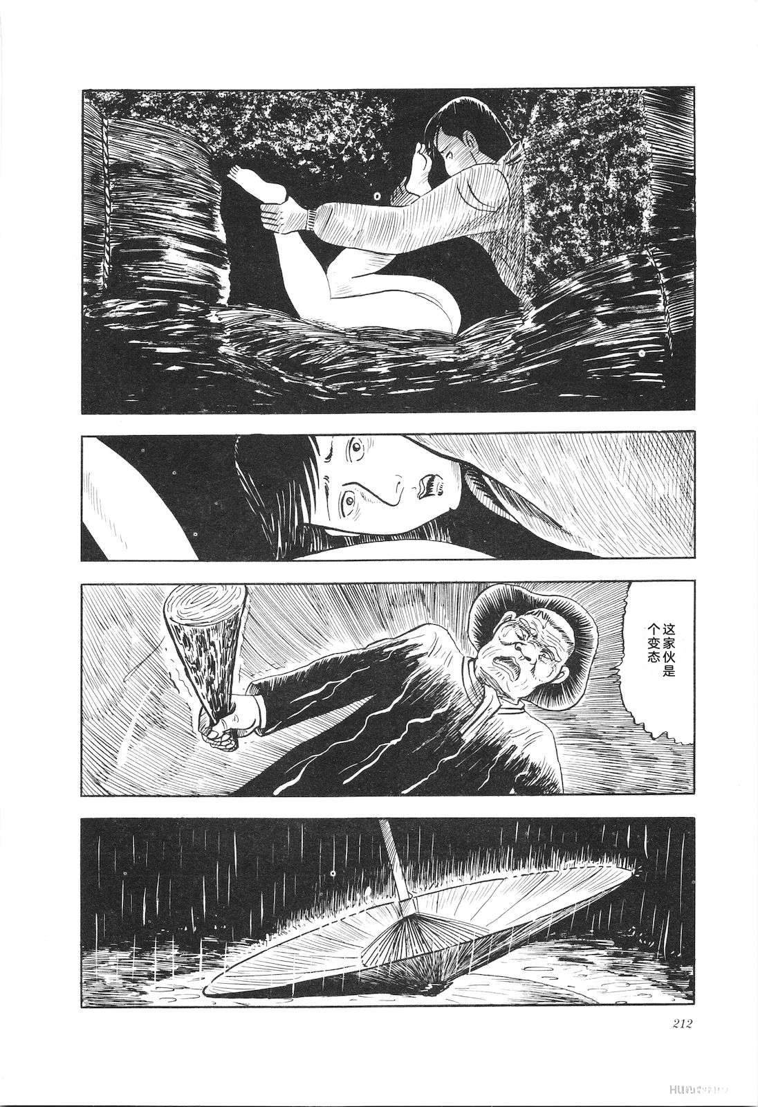 第13卷216