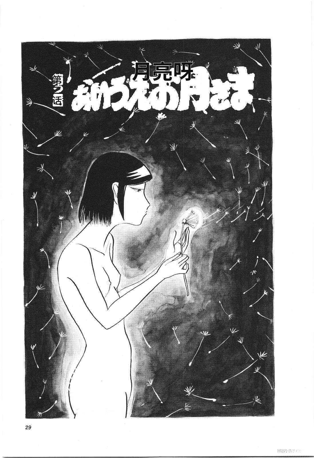 第16卷33