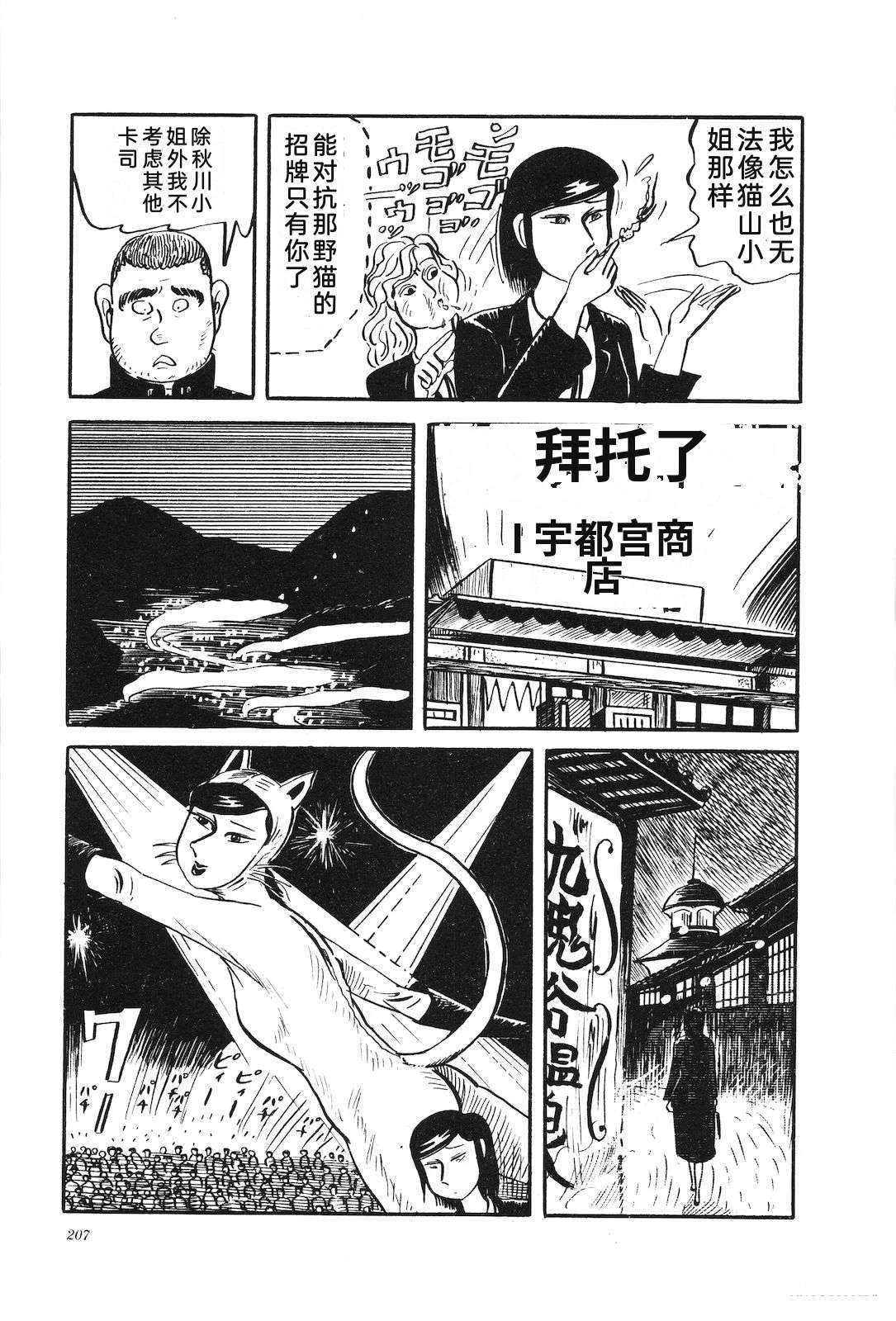 第28卷211