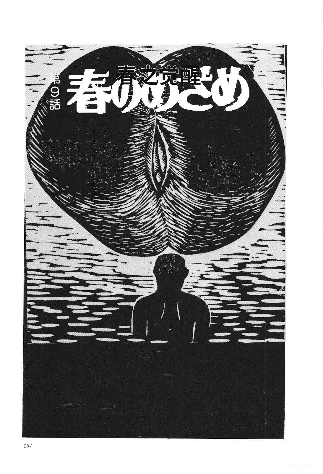 第31卷201