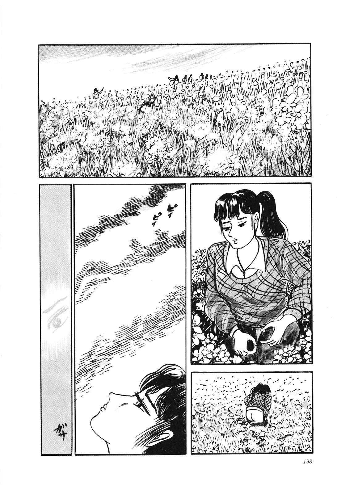 第31卷202