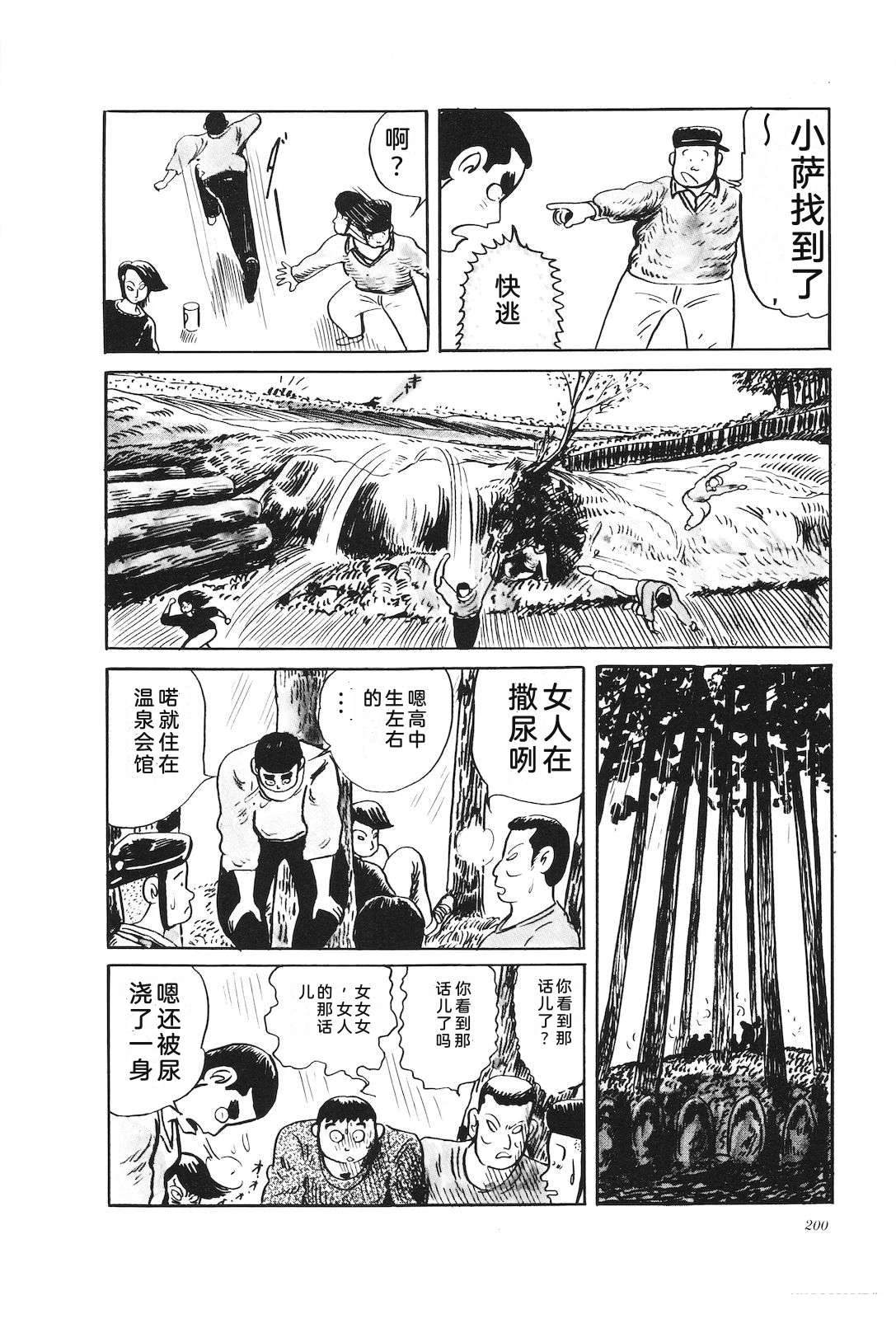 第31卷204