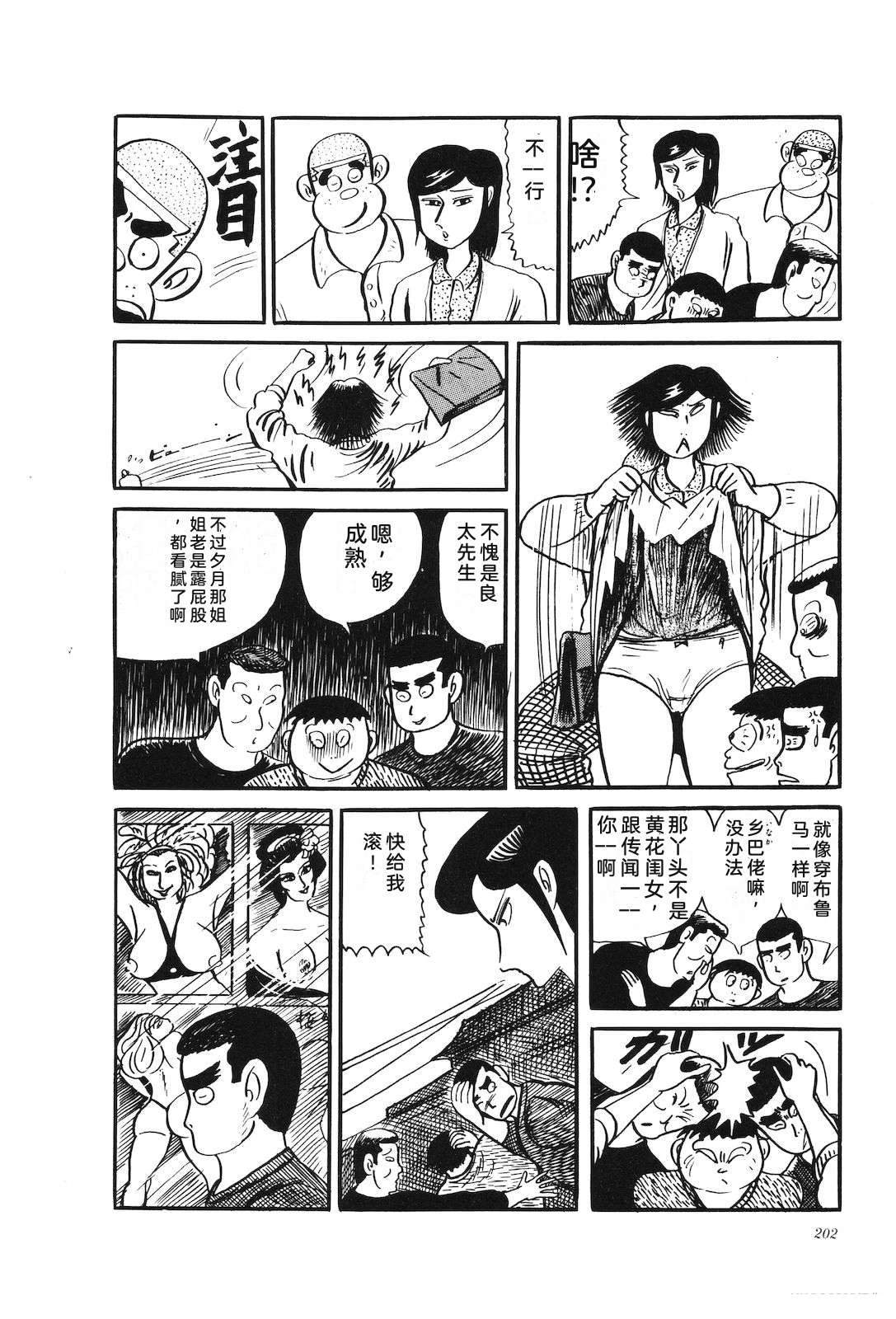 第31卷206