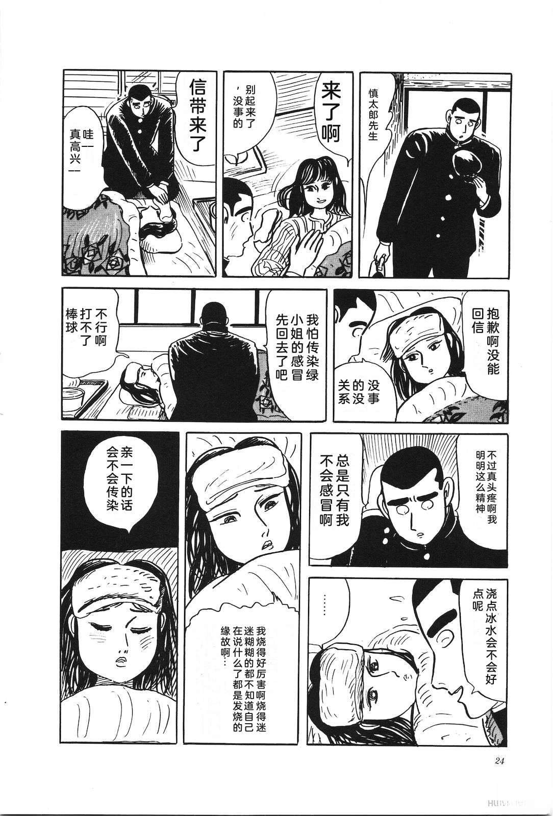 第31卷28