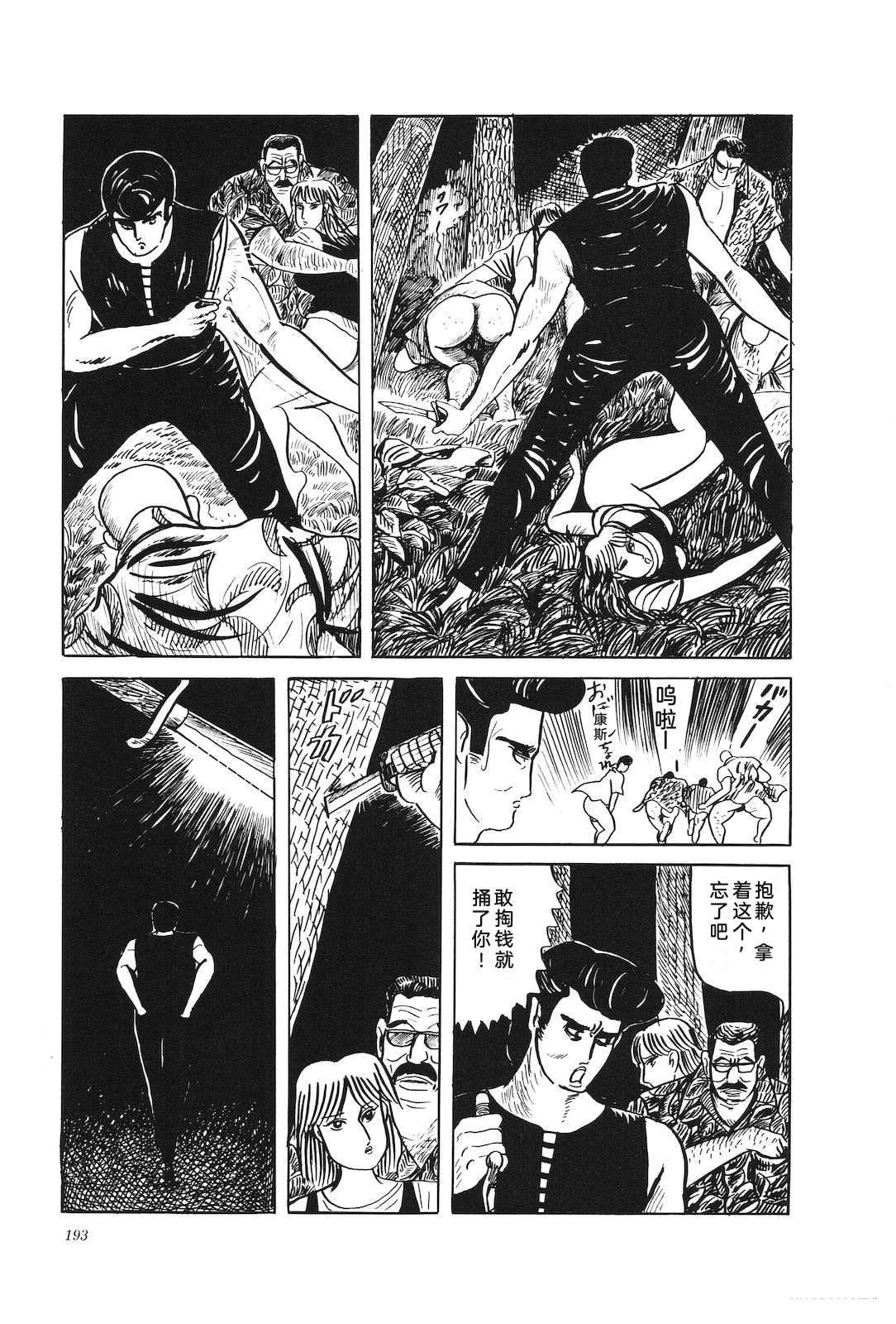 第33卷195