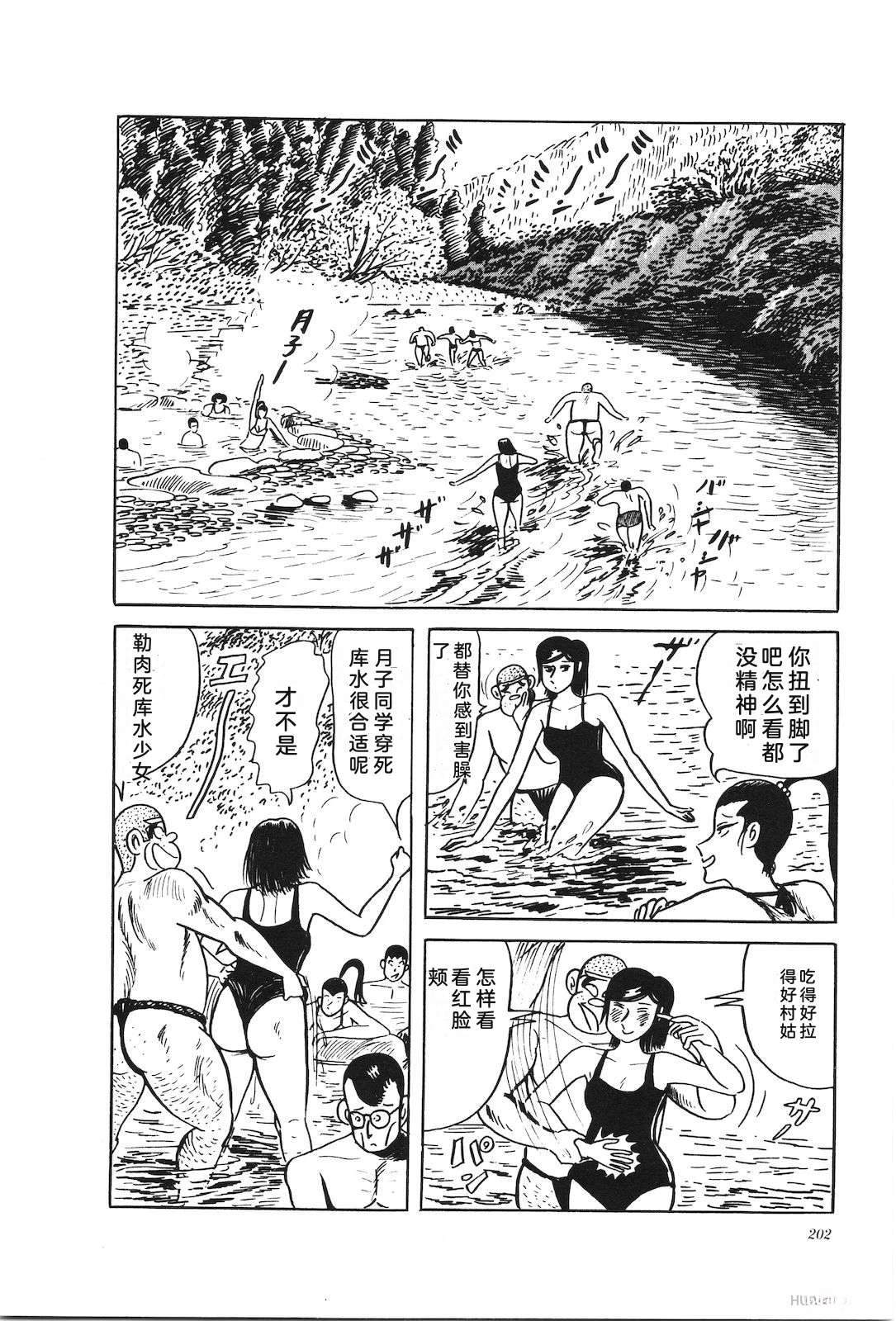 第33卷204