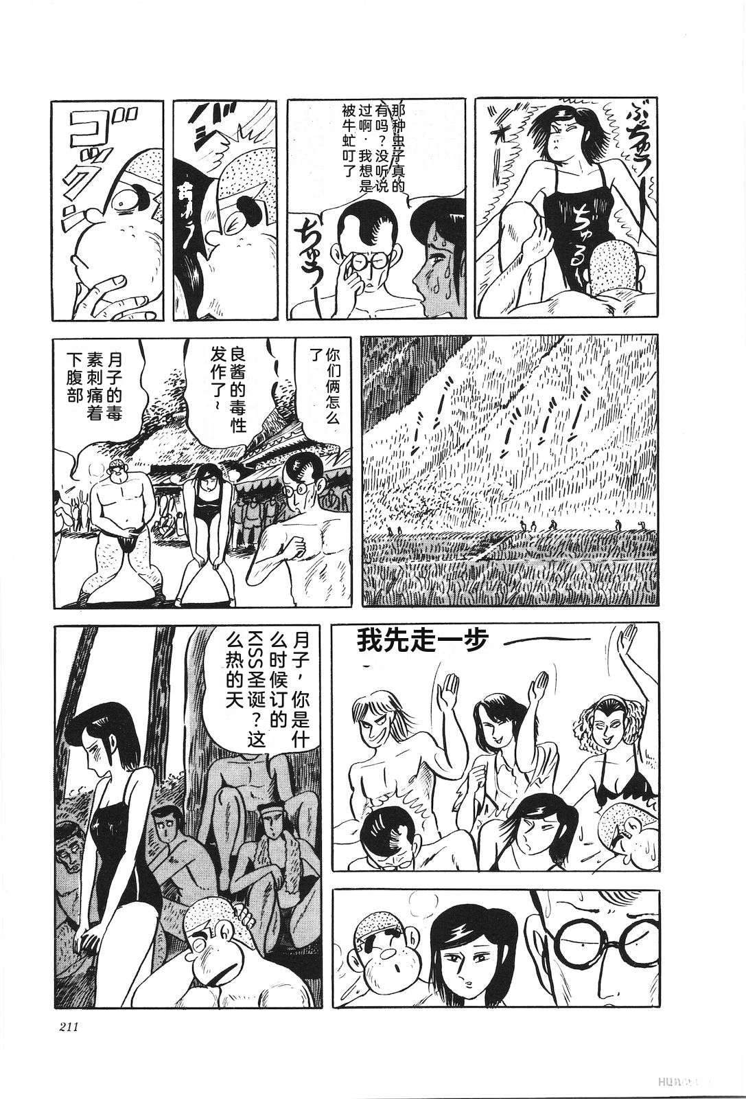 第33卷213