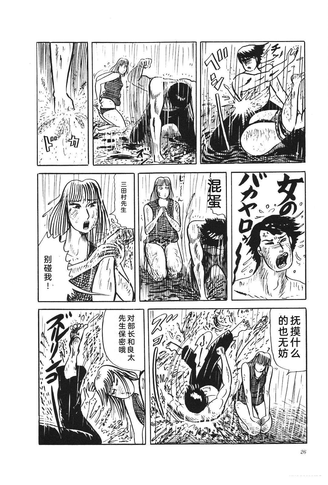 第33卷28