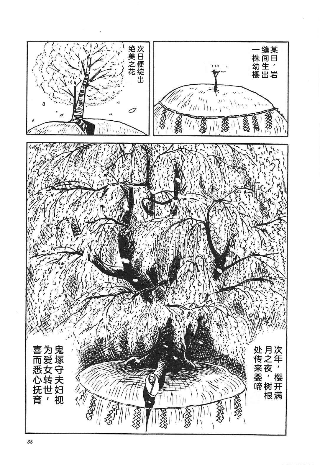第37卷39