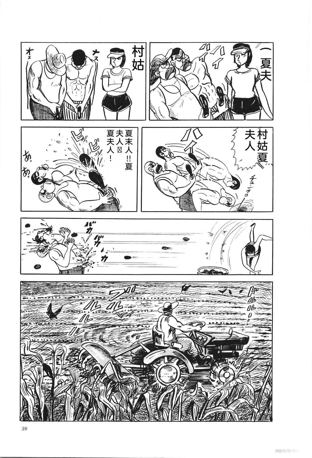 第39卷43