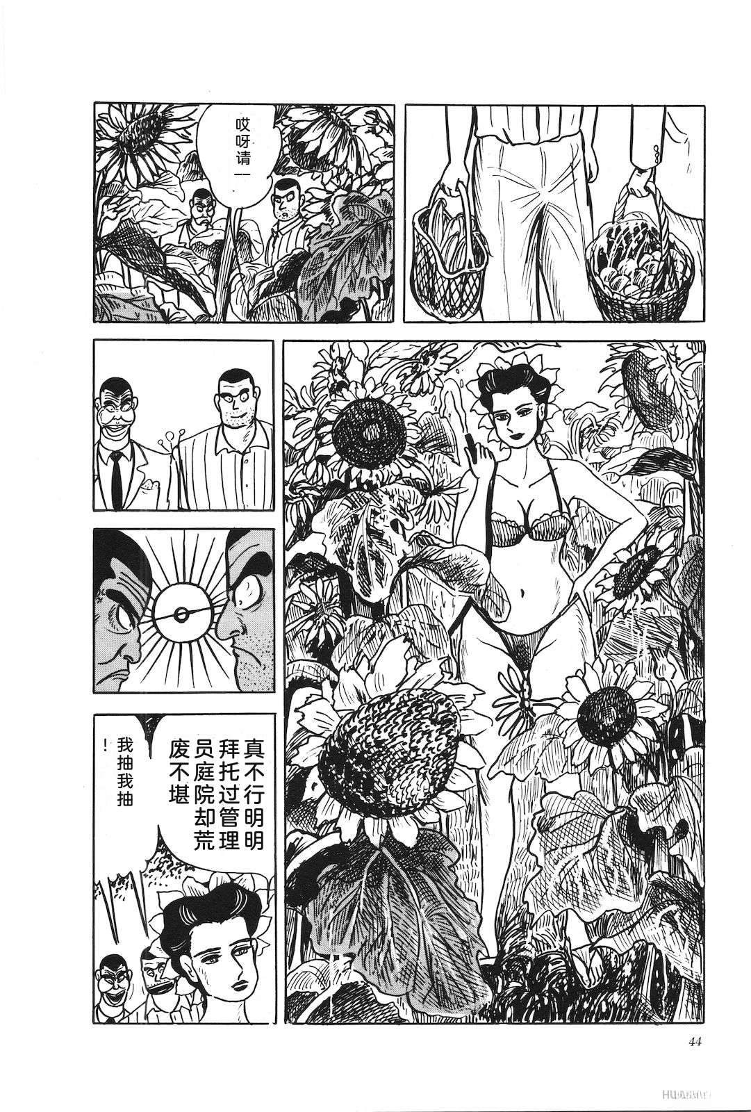 第39卷48