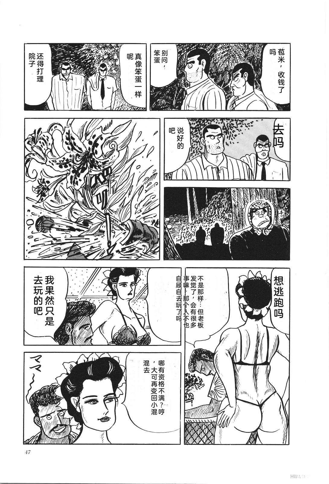 第39卷51