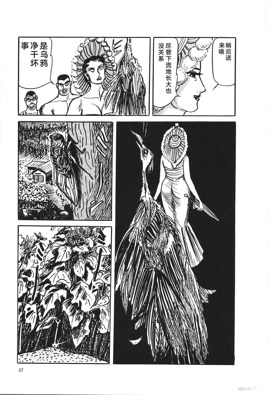 第39卷61