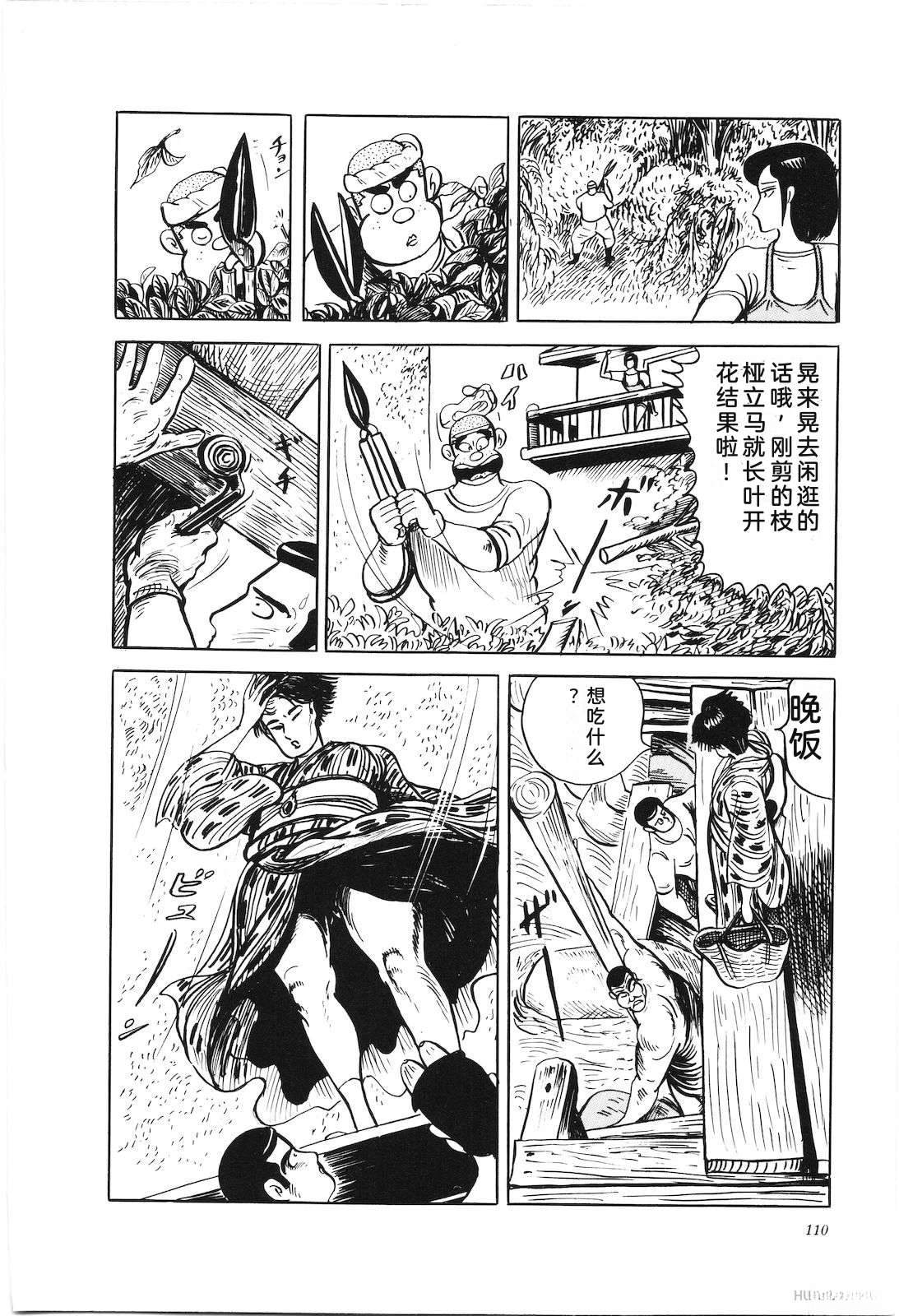 第43卷114