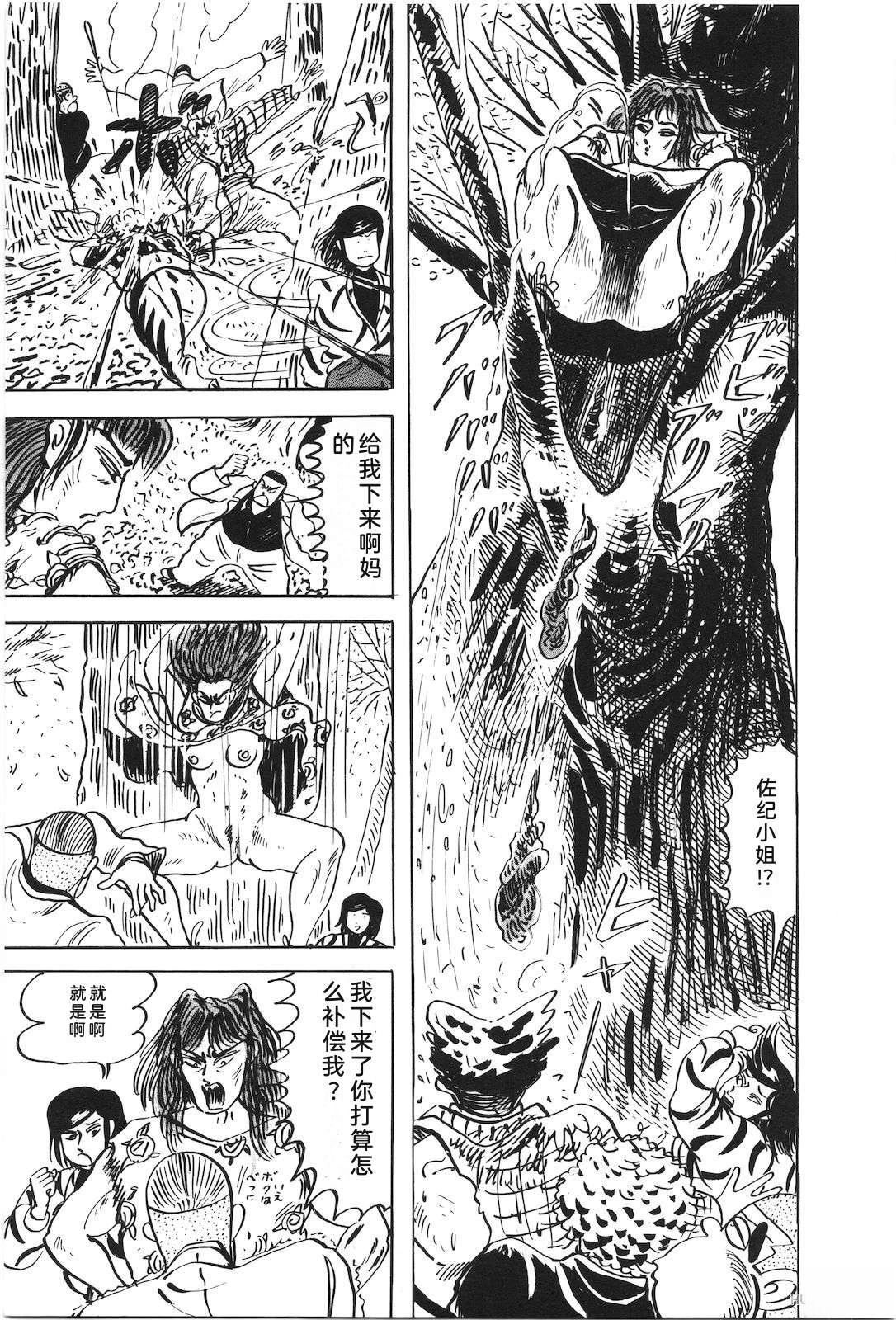 第51卷161