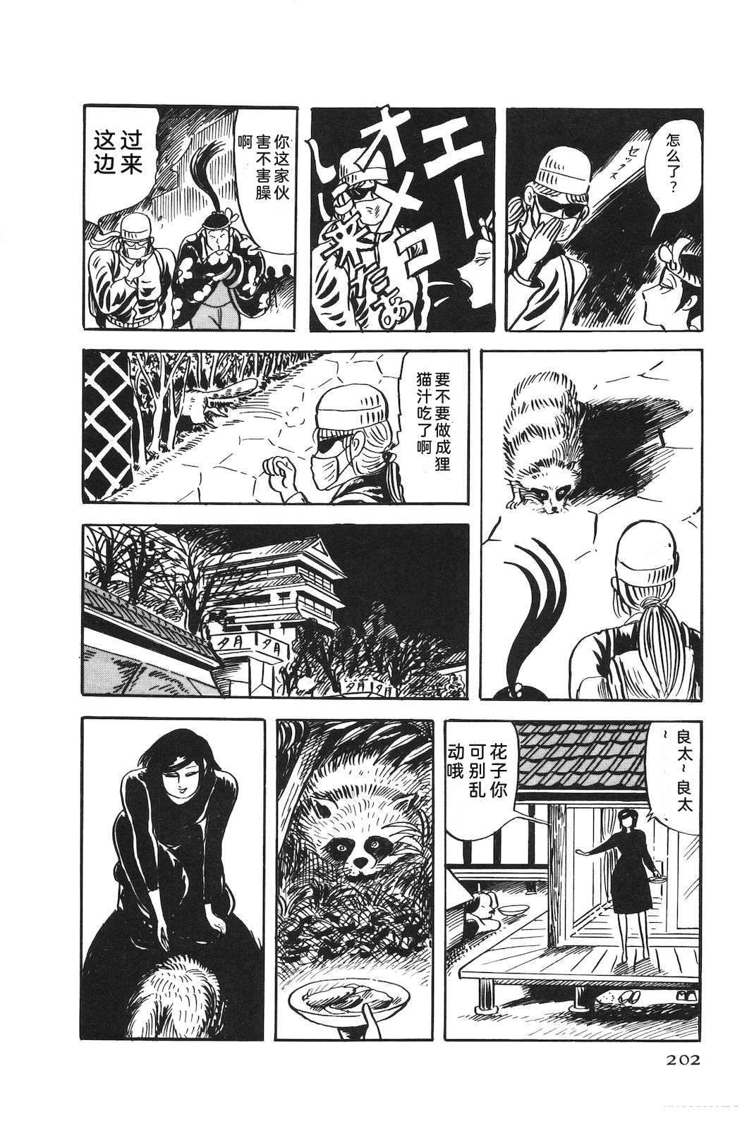 第51卷206