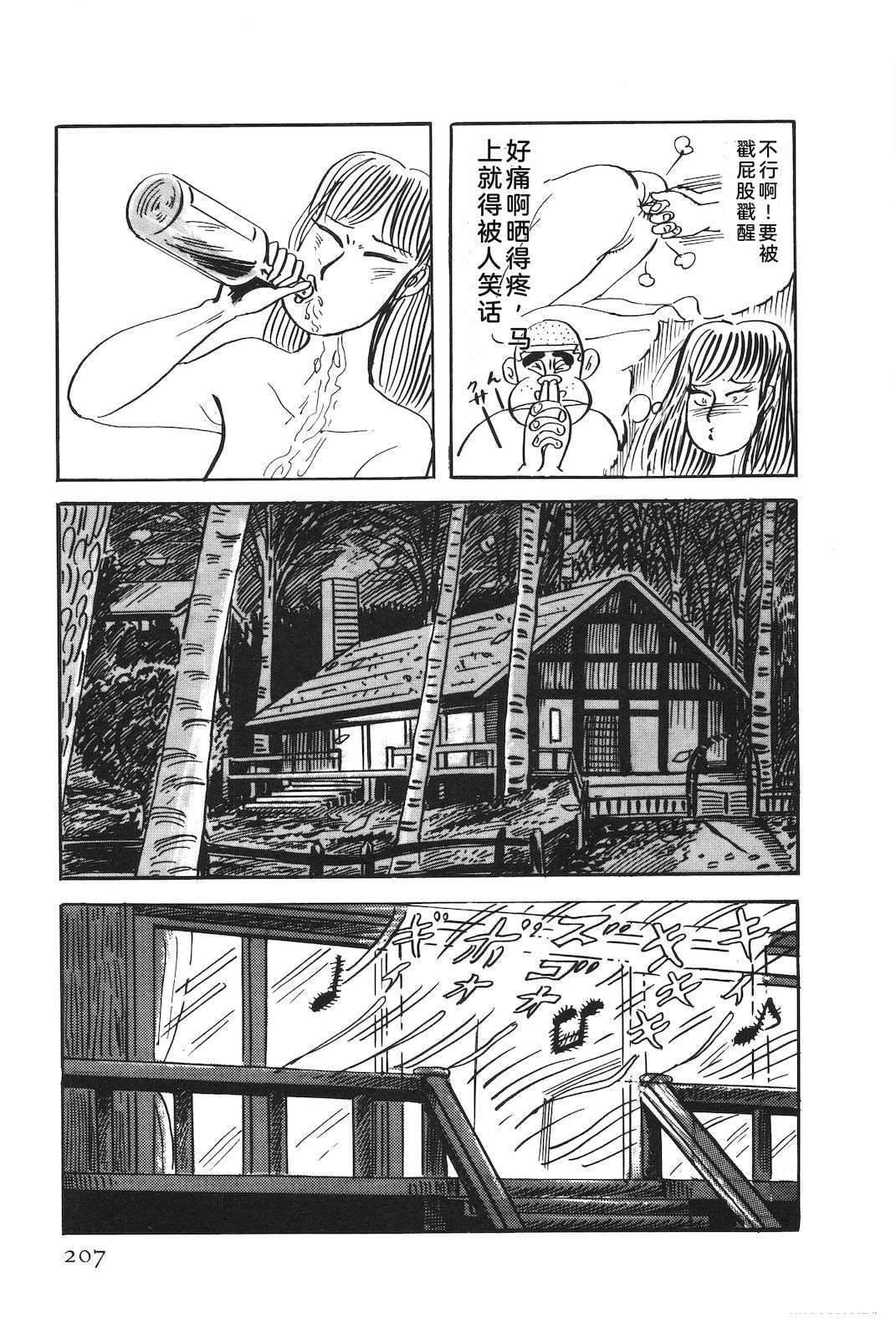 第51卷211