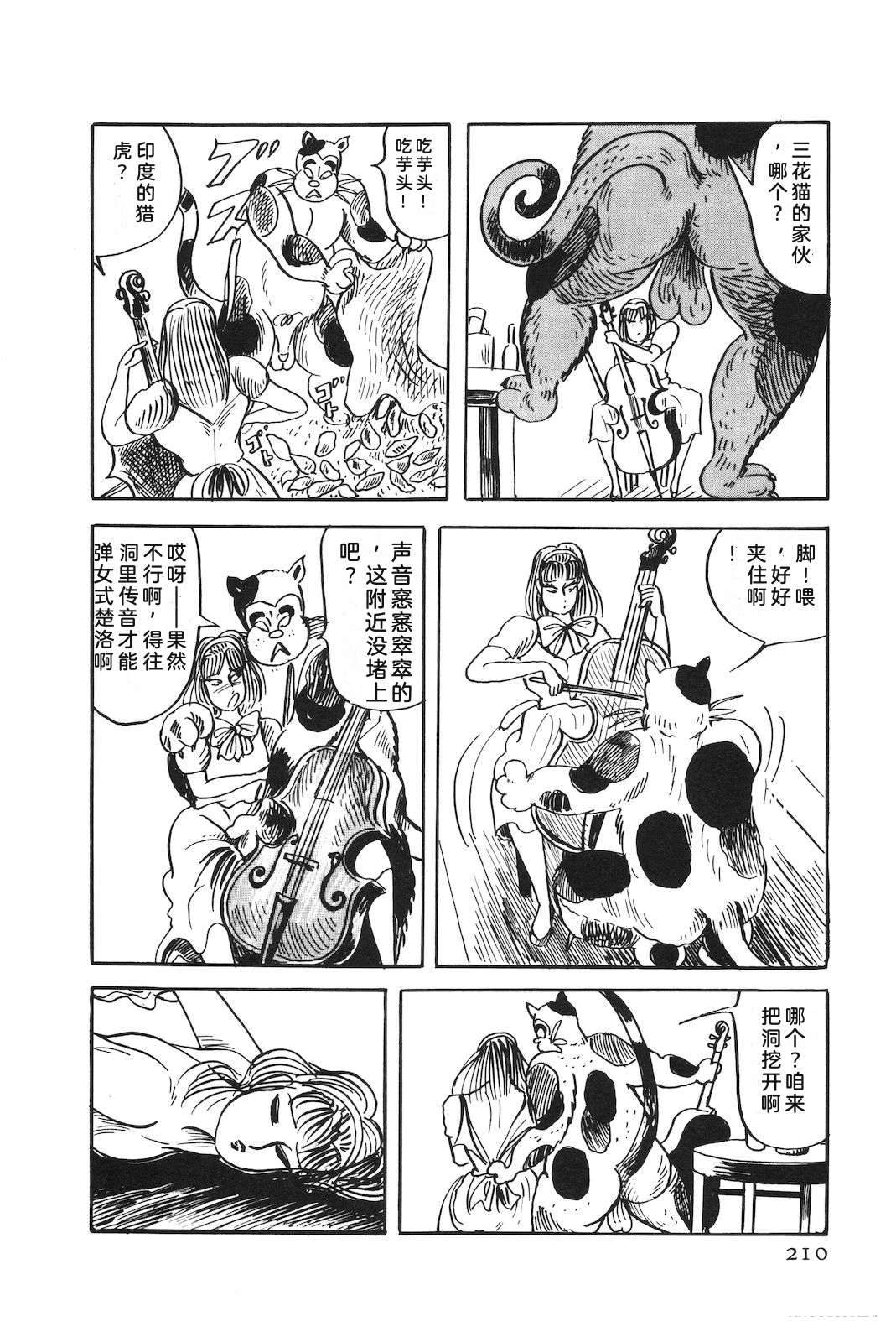 第51卷214
