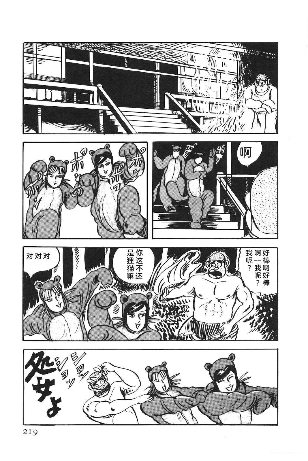第51卷223