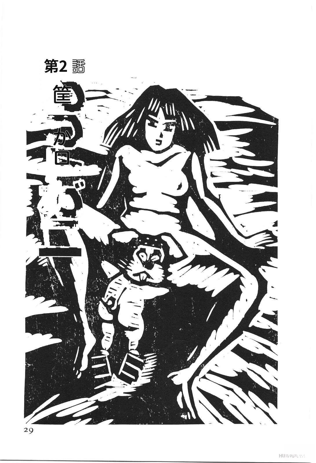 第51卷33