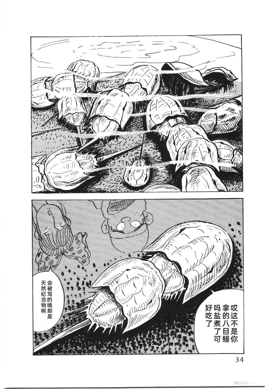 第51卷38