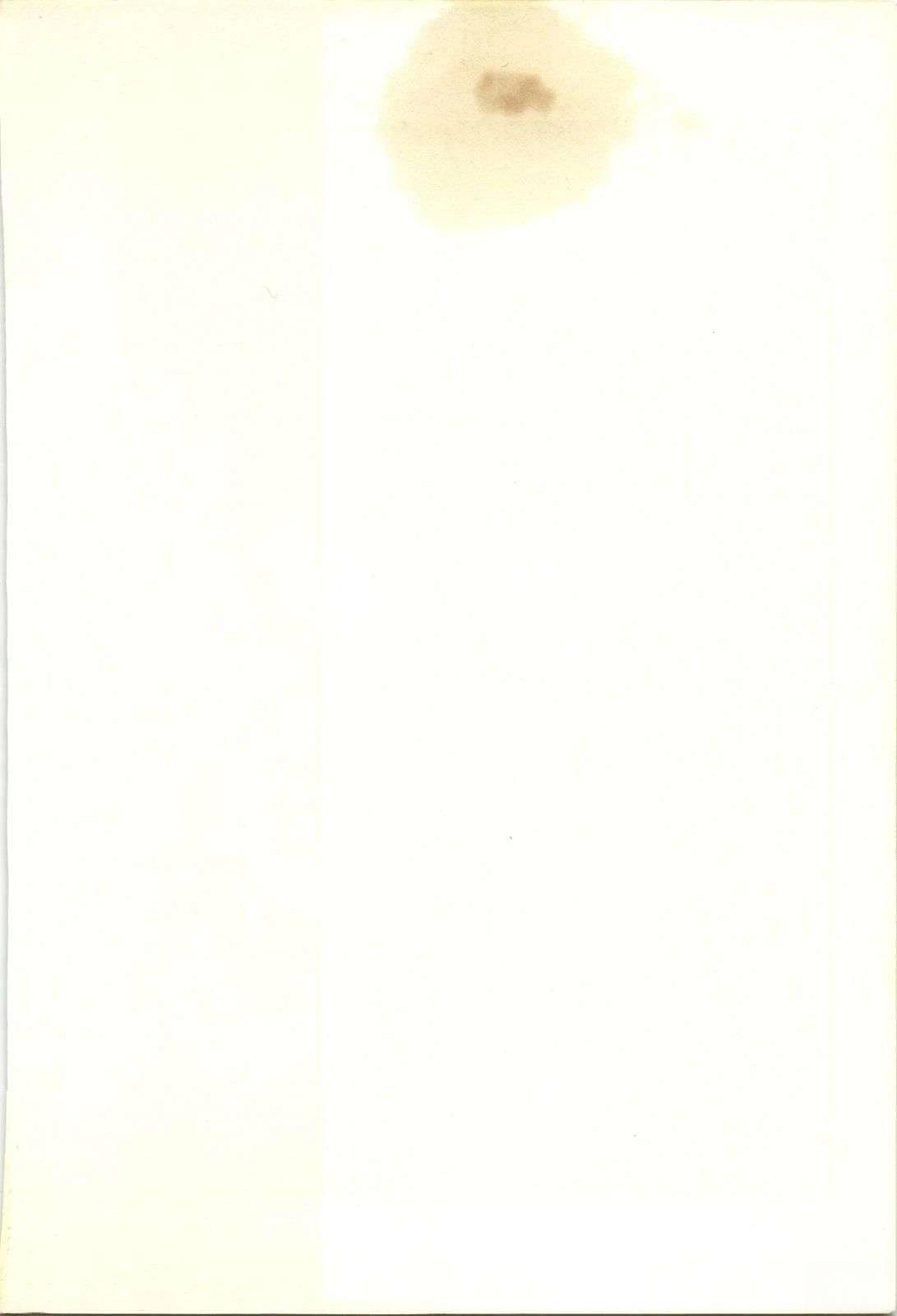 第53卷8