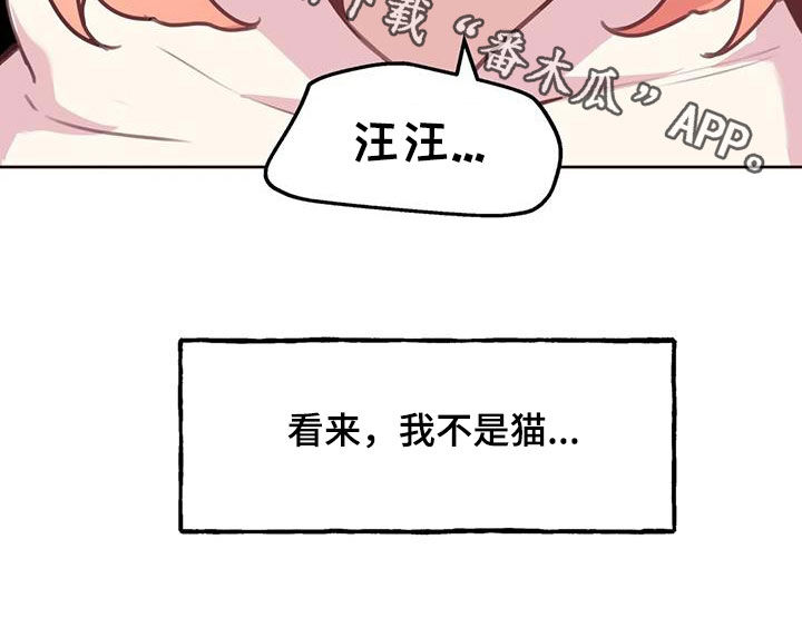 第3章：人选24