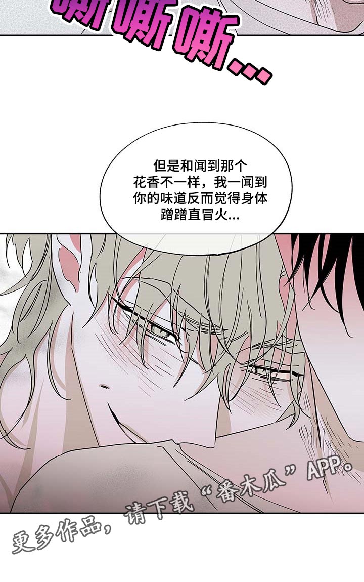 第19话19