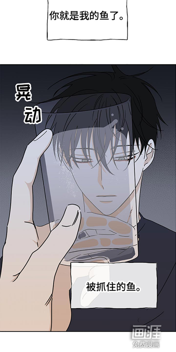 第53话17