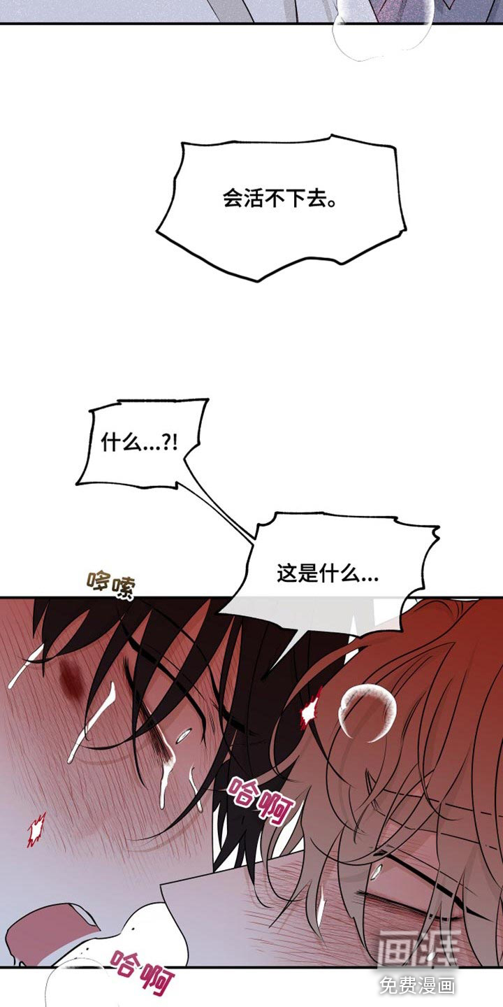 第104话14