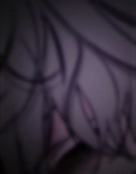 第121话9