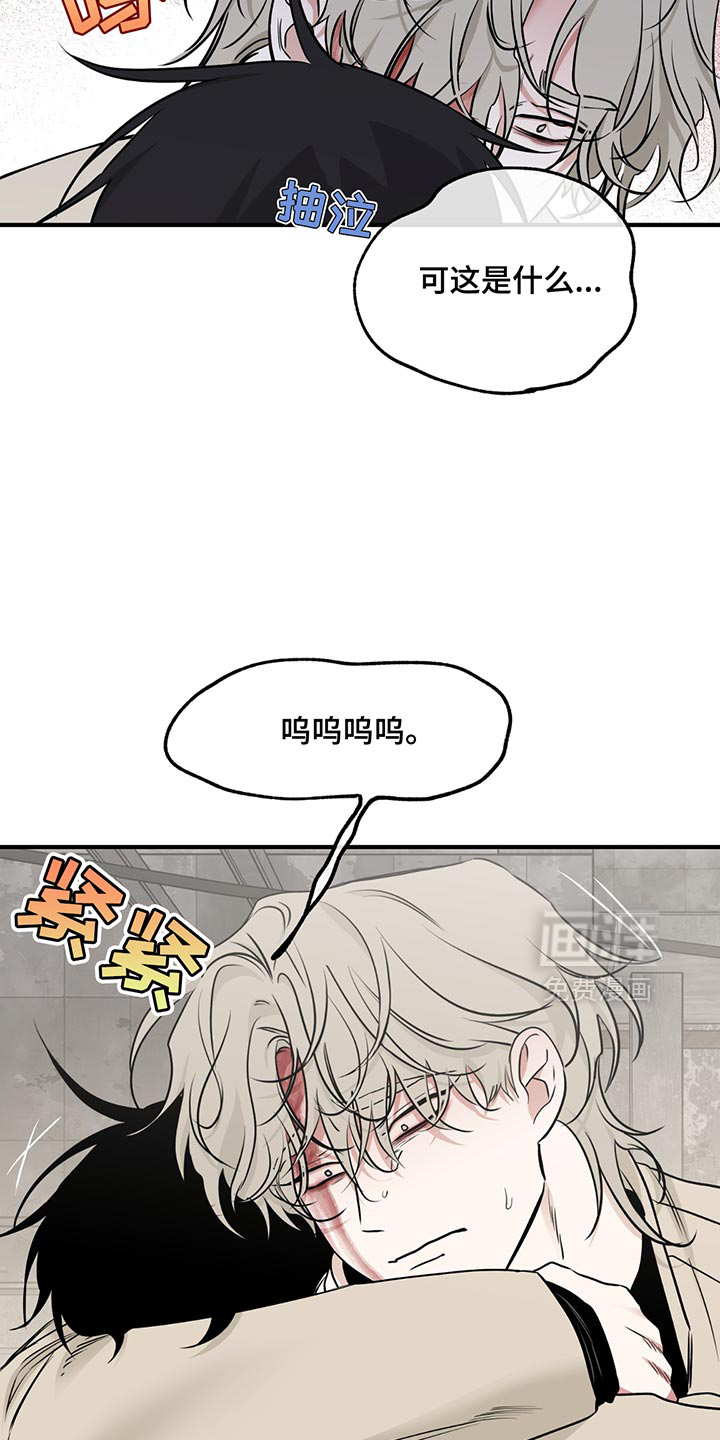 第204话12