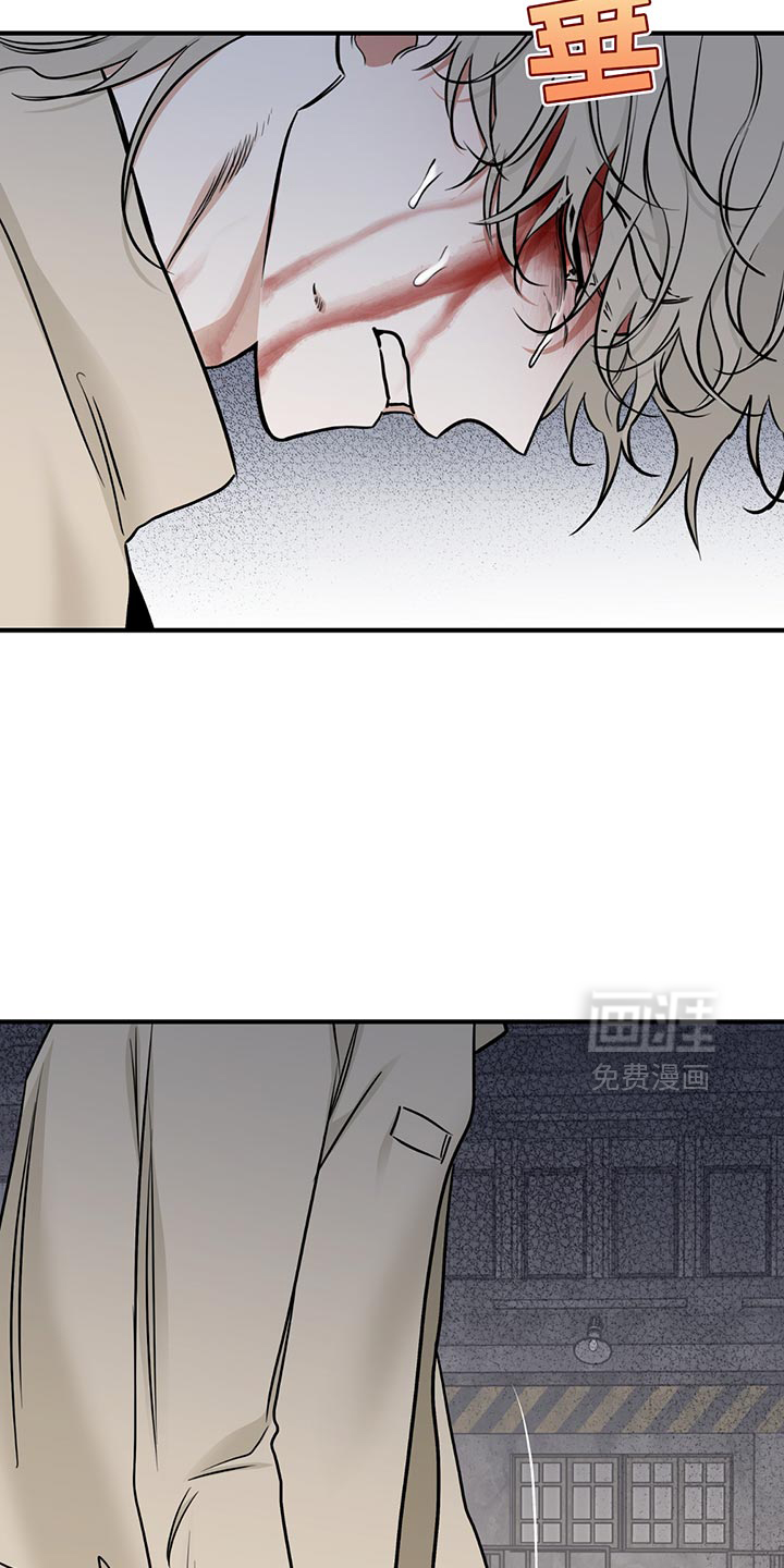 第204话2