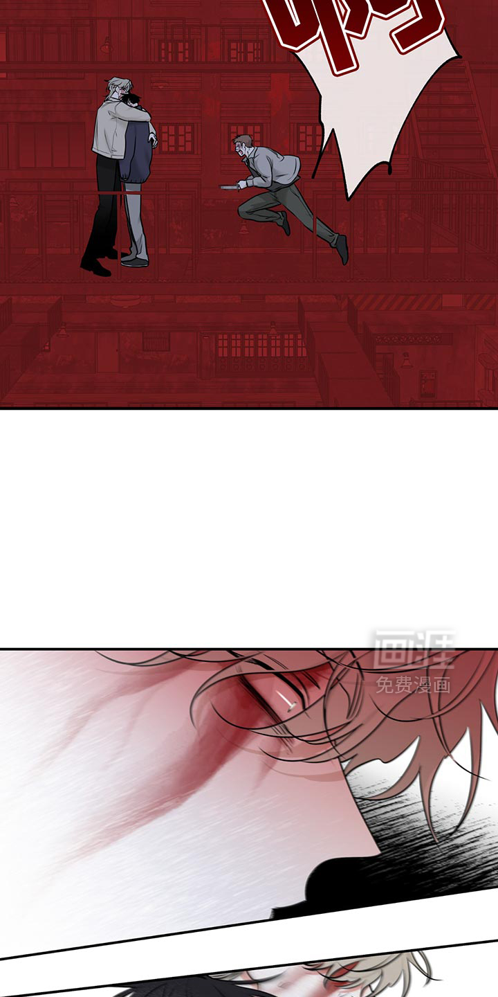第205话7