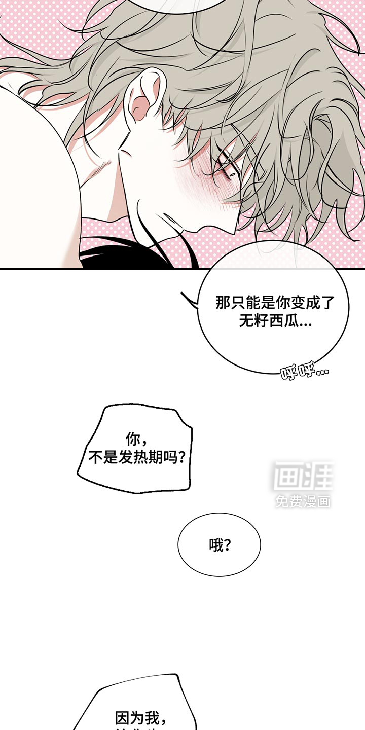 第225话1