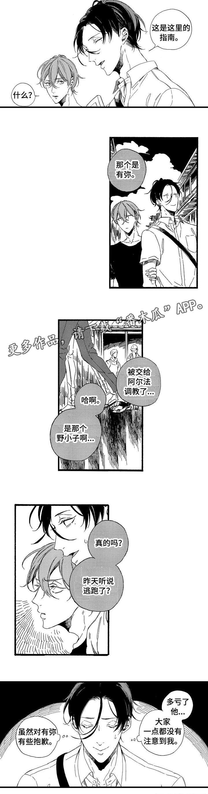 第6章：抱歉6