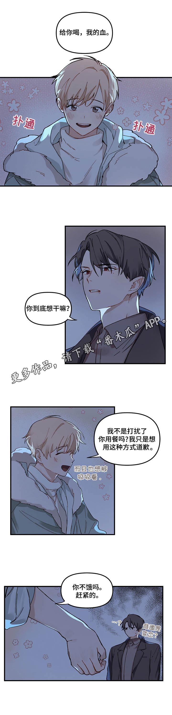 第2章：目击5