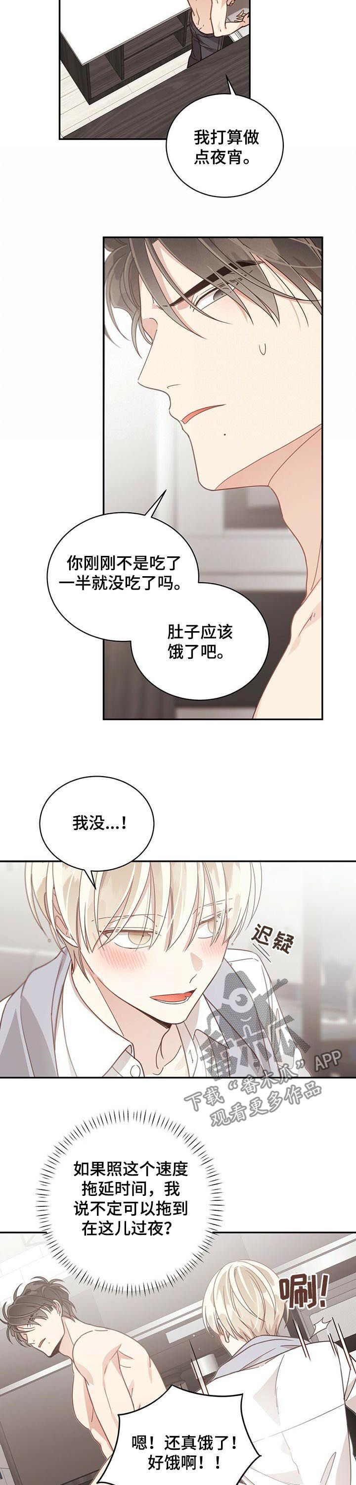 第81章：像是在恋爱1