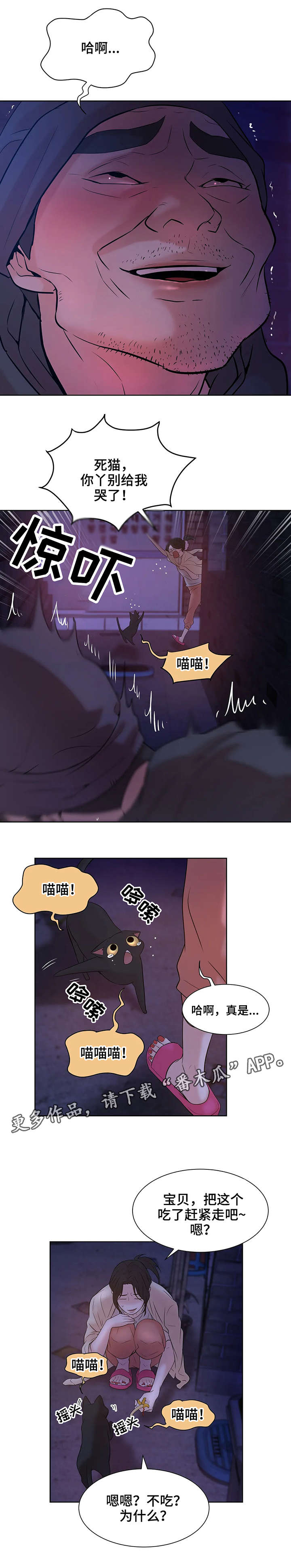 第13章：猫咪7