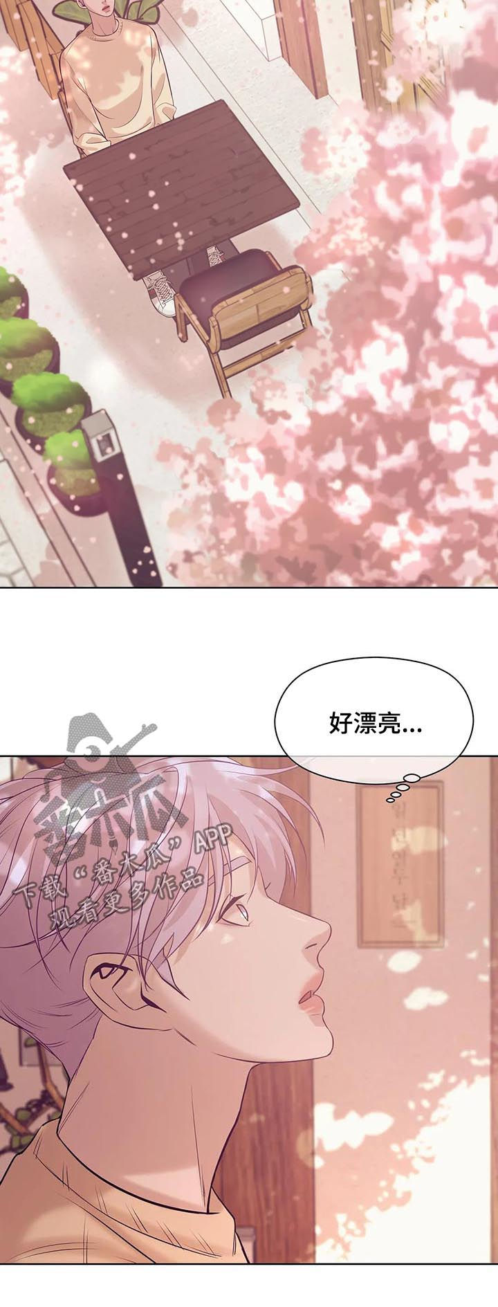 第44章：放手！1